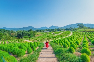 国営讃岐まんのう公園で「サマーフェスタ」開催中！　夏休み家族旅行おすすめスポット情報♪8000本のひまわりや6000本のコキアを見に行こう♪