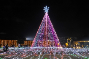 【まんのう公園】広大な敷地が約65万球のイルミネーションで彩られます♪11月23日スタート