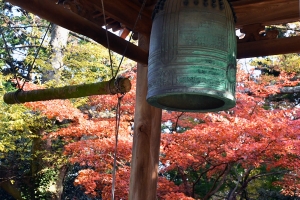 【香川の紅葉スポット】四国霊場第82番札所　根香寺