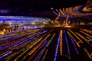 【まんのう公園】65万球のイルミネーションを見に行こう