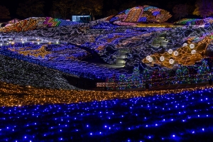 【まんのう公園】日本夜景遺産登録★65万球のイルミネーションを見に行こう♪