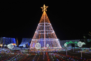 まんのう公園イルミネーションツアー