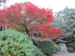 こんぴらさん　紅葉