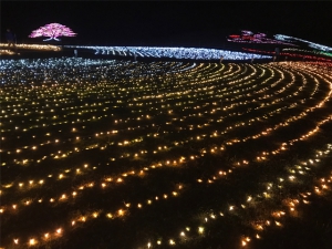 まんのう公園イルミネーションツアー