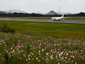 【高松空港・さぬきこどもの国】秋の風物詩、コスモスが見頃でした