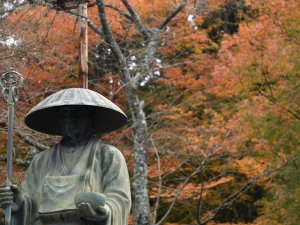 四国八十八ヶ所霊場　第81番札所　【白峯寺】　紅葉が見頃です♪