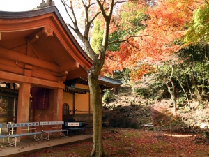 香川県の紅葉スポット　第82番札所【根香寺】　