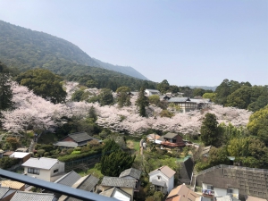 4月3日(土)空きの部屋ございます