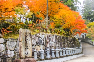 【もみじ寺】四国霊場第66番札所　雲辺寺★紅葉が見頃です♪