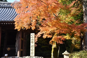 【香川の紅葉スポット】四国霊場第82番札所「根香寺」