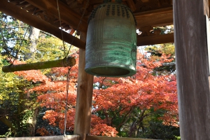 【香川の紅葉スポット】四国霊場第82番札所「根香寺」