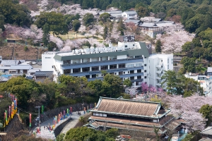 桜の時期は1年の中で一番華やかな季節になります。