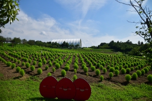 【国営讃岐まんのう公園】8月14日までサマーフェスタ開催中♪