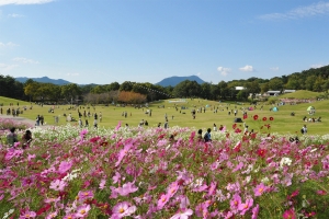 【国営讃岐まんのう公園】9月17日から「秋！色どりフェスタ」開催！