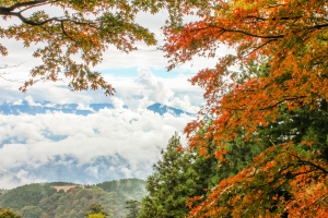 【紅葉スポット】もみじ寺・雲辺寺　まもなく紅葉が見頃♪　