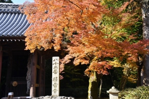 【香川の紅葉スポット】四国霊場　第82番札所「根香寺」