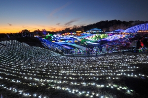 琴平発着！国営讃岐まんのう公園「ウィンターファンタジー」イルミネーションツアー開催！　※約65万球の電球が彩るイルミネーション　幻想的な世界を堪能♪