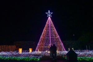 【国営讃岐まんのう公園】1月9日まで「ウィンターファンタジー」開催中！65万球のイルミで彩る幻想的な世界を堪能♪