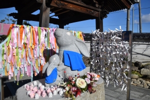 【甲山寺】卯年は「うさぎ寺」へお参り！　境内“16羽”のウサギたちがお出迎え