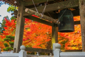 ★紅葉スポット【もみじ寺・雲辺寺】※10月下旬～11月上旬が見頃