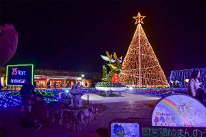 【12月24日空室あります】今年のクリスマスは温泉とイルミを楽しみませんか