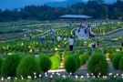 【国営讃岐まんのう公園】「コキアライトアップほのか」開催中！8/13まで営業時間延長21時まで！★