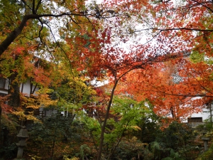 四國紅葉名所 - 「宝光寺」